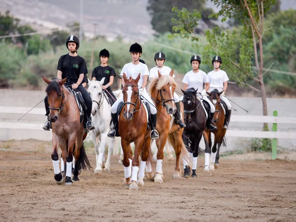 Horse-riding lessons