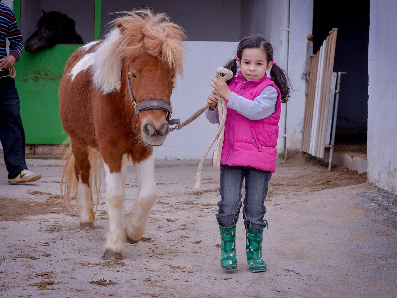 Pony Club